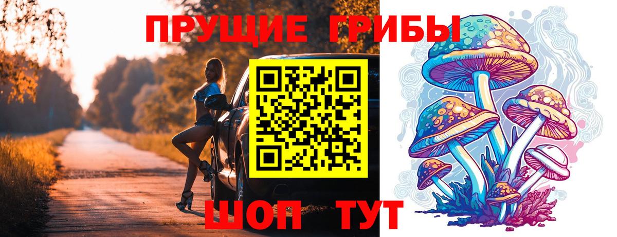 Галлюциногенные грибы GOLDEN TEACHER Добрянка